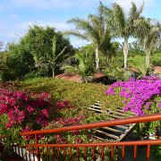 Baja2011 087 : Baja2011